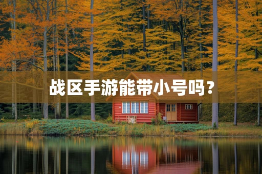 战区手游能带小号吗？