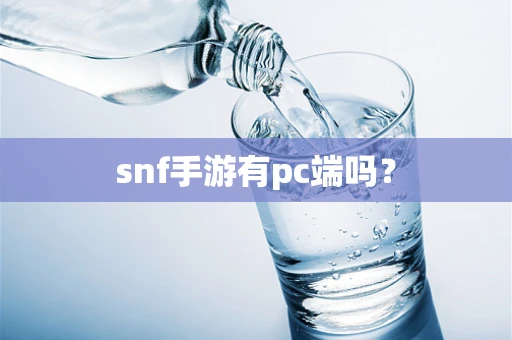 snf手游有pc端吗？