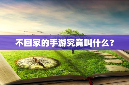 不回家的手游究竟叫什么？