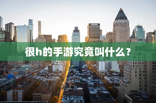 很h的手游究竟叫什么？