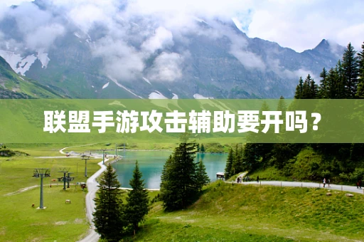联盟手游攻击辅助要开吗？