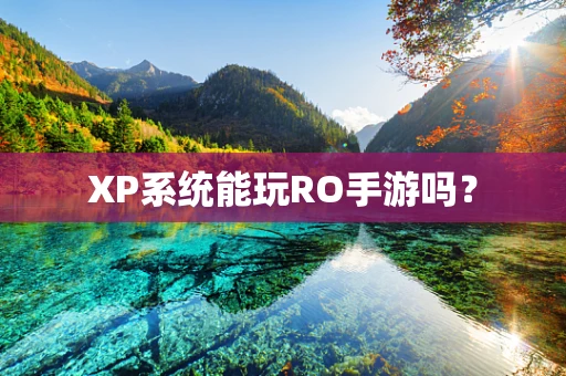 XP系统能玩RO手游吗？