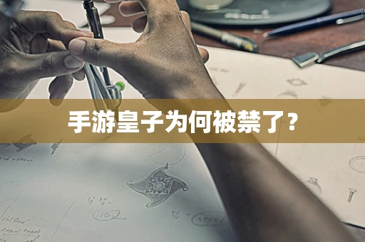手游皇子为何被禁了？