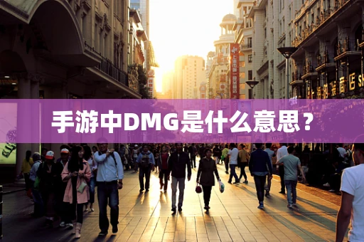 手游中DMG是什么意思？