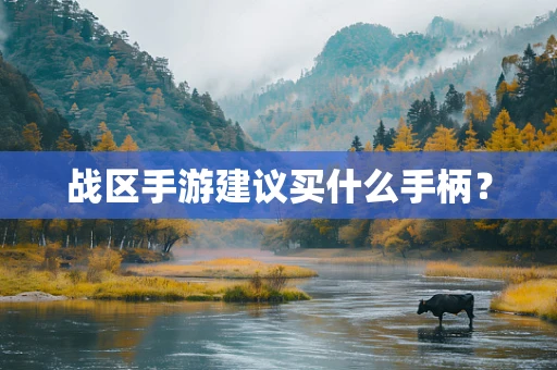 战区手游建议买什么手柄？