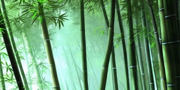 问道手游和尚强吗？
