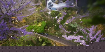 神武4手游app名称究竟是什么？